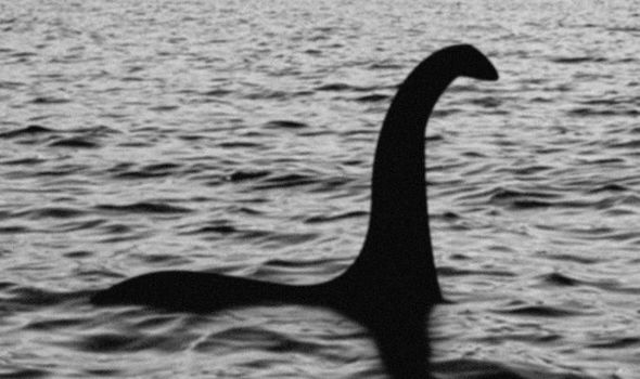 New Trump Sighting